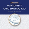 image:imageScott Pet Guard Advanced Dog Pads  Large  22 x 22  100 Pack of Pet PadsLarge 50 Pack
