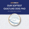 image:imageScott Pet Guard Advanced Dog Pads  Large  22 x 22  100 Pack of Pet PadsXLarge 40 Pack