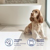 image:imageScott Pet Guard Dog Pads  Size Large  22 x 22  50 Pack of Pet PadsXLarge 20 Pack