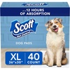 X-Large 40 Pack